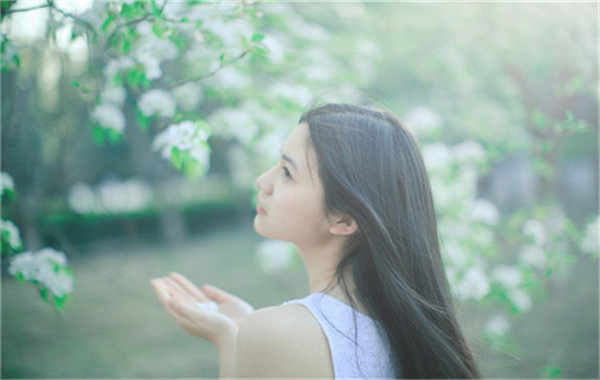 宁津验血查男女几周可以验(验血查男女结果图)
